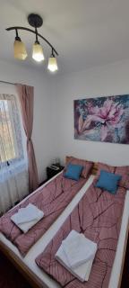 RIA Room - Apartemente 9 - Baile Felix - 3