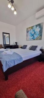 RIA Room - Apartemente 9 - Baile Felix - 7
