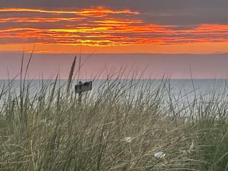 SATORI LODGE near the Dunes & the Beach - Zandvoort - 7