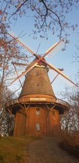 Wohnung an der Mühle - Eystrup - 0