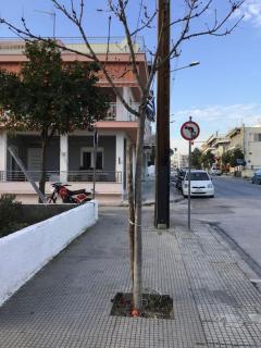 Corner House Volos - Volos - 1