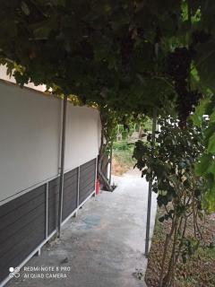 Vineyard of Valta - 4