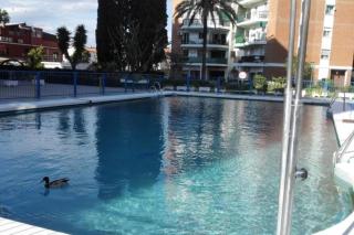 Nid des amoureux Torremolinos - Torremolinos - 7