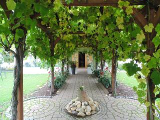 Weingut Lehnert-Später - 5