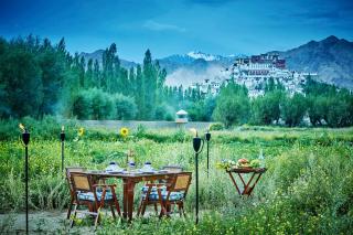 Chamba Camp Thiksey - Shey - 3