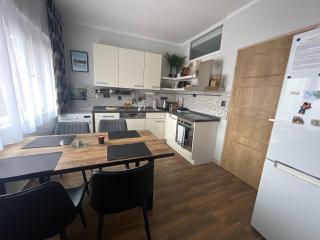 Andel apartment with terrace - Prague - 5