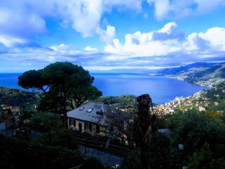 CASAVIVA - Bilo with SeaView and parking in Camogli - Camogli - 6