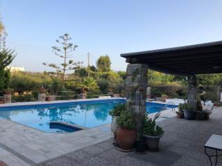 Guesthouse in Drios, Paros island, Greece. - Drios - 8