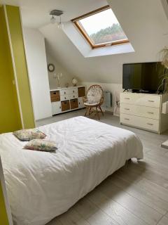 Chambre chez particulier - Le Mans - 0