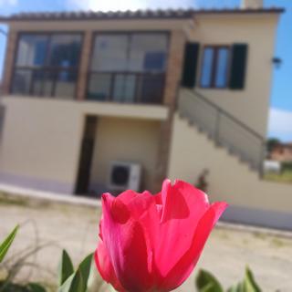 Casa di zio - 9
