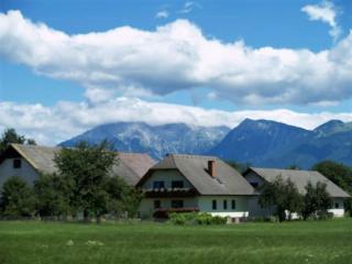 Farmhouse Apartment Happy Cow - Mavčiče - 0