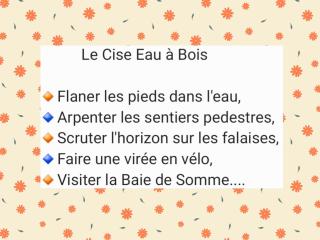 LE CISE EAU À bois - 9