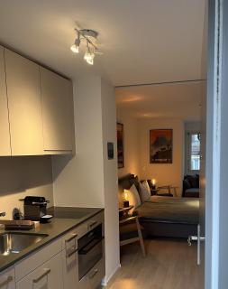 Swiss Art Apartment City Center - Zurigo - 9
