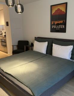 Swiss Art Apartment City Center - Zurigo - 2