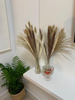 APARTAMENTO MEDINA AZAHARA - 5