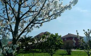 Alojamientos Prada - 2