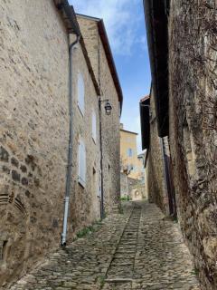 Gîte l'oustal de la fontaine Grand Causses et Gorges du Tarn - 3