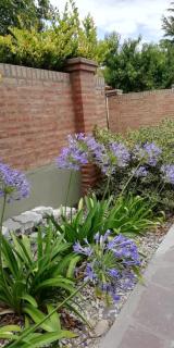 COMO EN CASA - Trelew - 6
