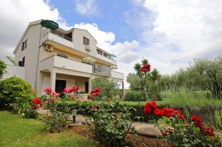Apartmani Lucija Peroš Zaton - Zaton - 9