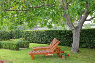 Apartmani Lucija Peroš Zaton - Zaton - 7