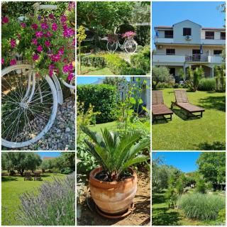 Apartmani Lucija Peroš Zaton - Zaton - 5