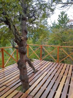 Parajes del Lejano Sur Cabaña El Calden - Moquehue - 6