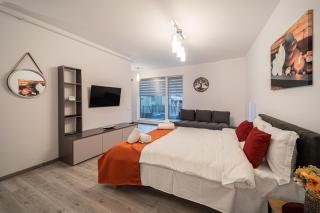 Old town luxury in new building. - Cluj-Napoca - 4
