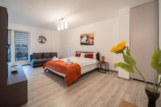 Old town luxury in new building. - Cluj-Napoca - 7