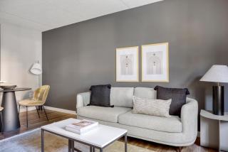 Brookline 1BR w Gym nr Brookline Village T BOS-770 - 9