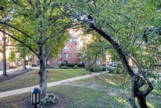 Brookline 1BR w Gym nr Brookline Village T BOS-770 - 6