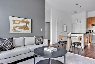 Cambridge Alewife 1BR w WD Gym Roof nr T BOS-771 - Cambridge - 8