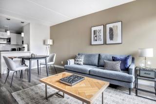 Brookline 1br w gym nr Brookline Village T BOS-852 - Brookline - 8