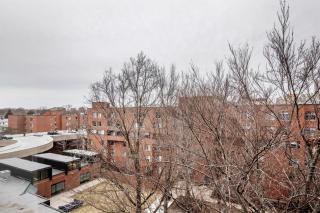Brookline 1br w gym nr Brookline Village T BOS-852 - 6