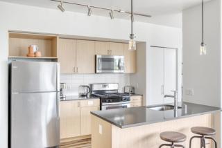 Bellevue 2BR w Gym WD nr Spring District SEA-410 - Bellevue - 2