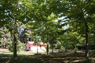 Terry Land Village - Kardamás - 2