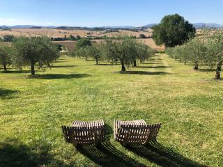 Tenuta dei Mori-Wine Relais Events - Villanova - 1
