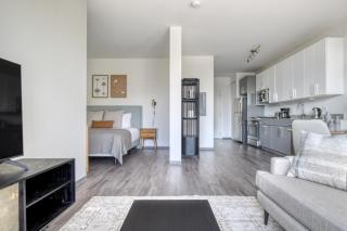 Logan Sq Studio w Roof Gym 1 block to L CHI-474 - Chicago - 9