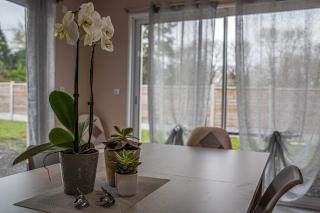 Kokana modern holiday home - 7