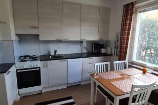 Renovated handy spacious 3 room apartment for tourists, workers and students - 8