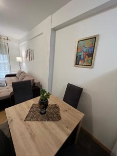 Apartment Dostojevski - Novi Sad - 3