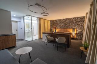 Hotel Zemplín - Trebišov - 8