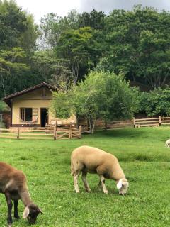Sitio Eco Friends - Perfeita para Casal e Família! - São Bento do Sapucaí - 4