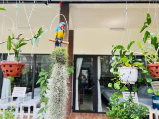 Canary Bungalow - Phú Quốc - 6