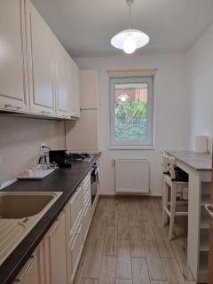 Amazing Apartament with Garden Bucharest Airport Self check-in!! - Otopeni - 4