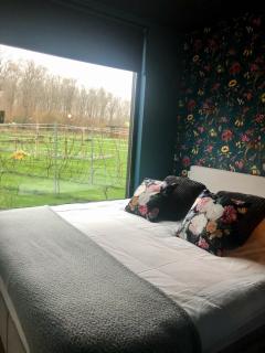 Life Contains Beautiful Things - Almere - 2