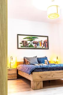 Thome Ego Flat - Cluj-Napoca - 7