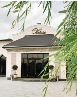 Hotel and Restaurant Velure - Mukačevo - 7