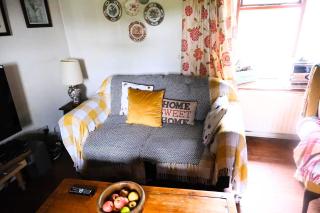 Authentic Irish Cottage, Rural Ballymascanlon - 7