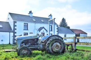 Authentic Irish Cottage, Rural Ballymascanlon - - 3