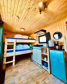 Tinyhouse Spiegelpeer - Ruinerwold - 1